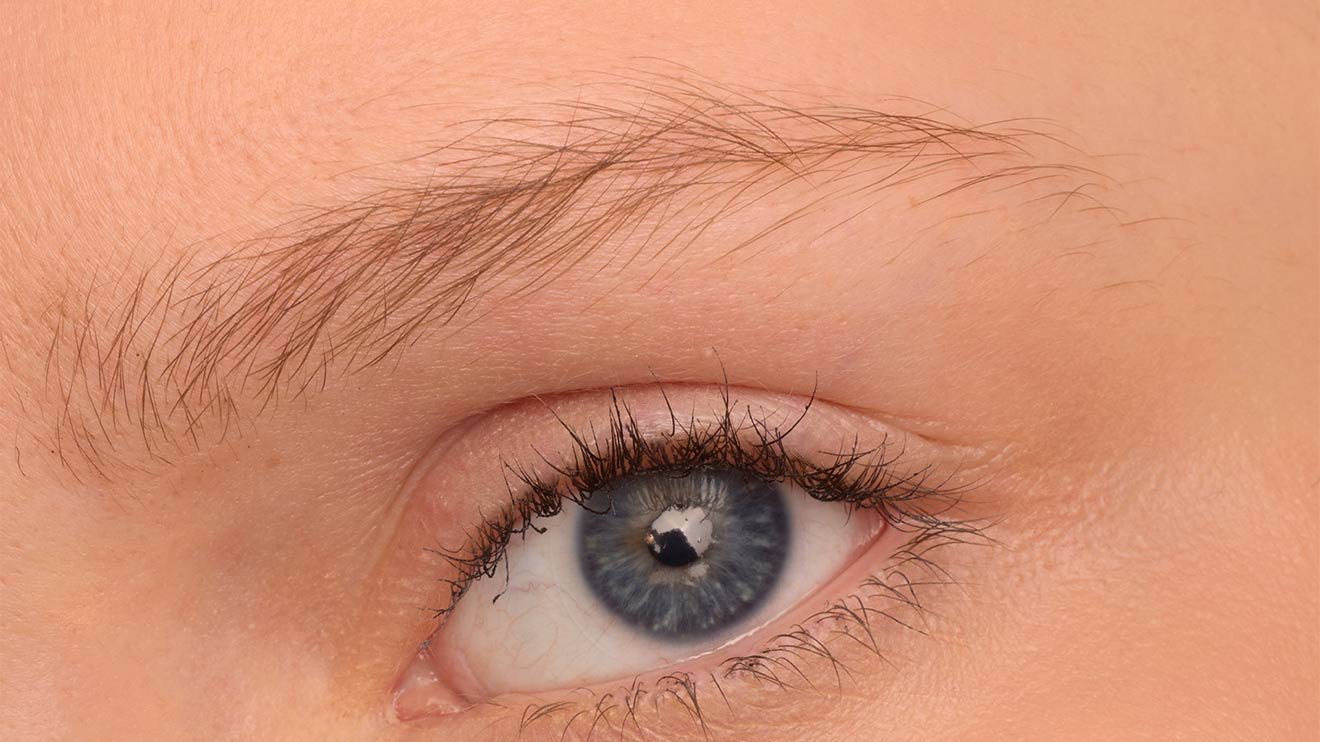 Maybelline Brow inserts pdp model beforeafter before