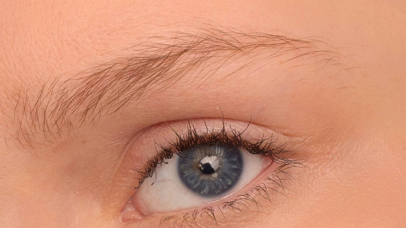 Maybelline Brow inserts pdp model beforeafter before
