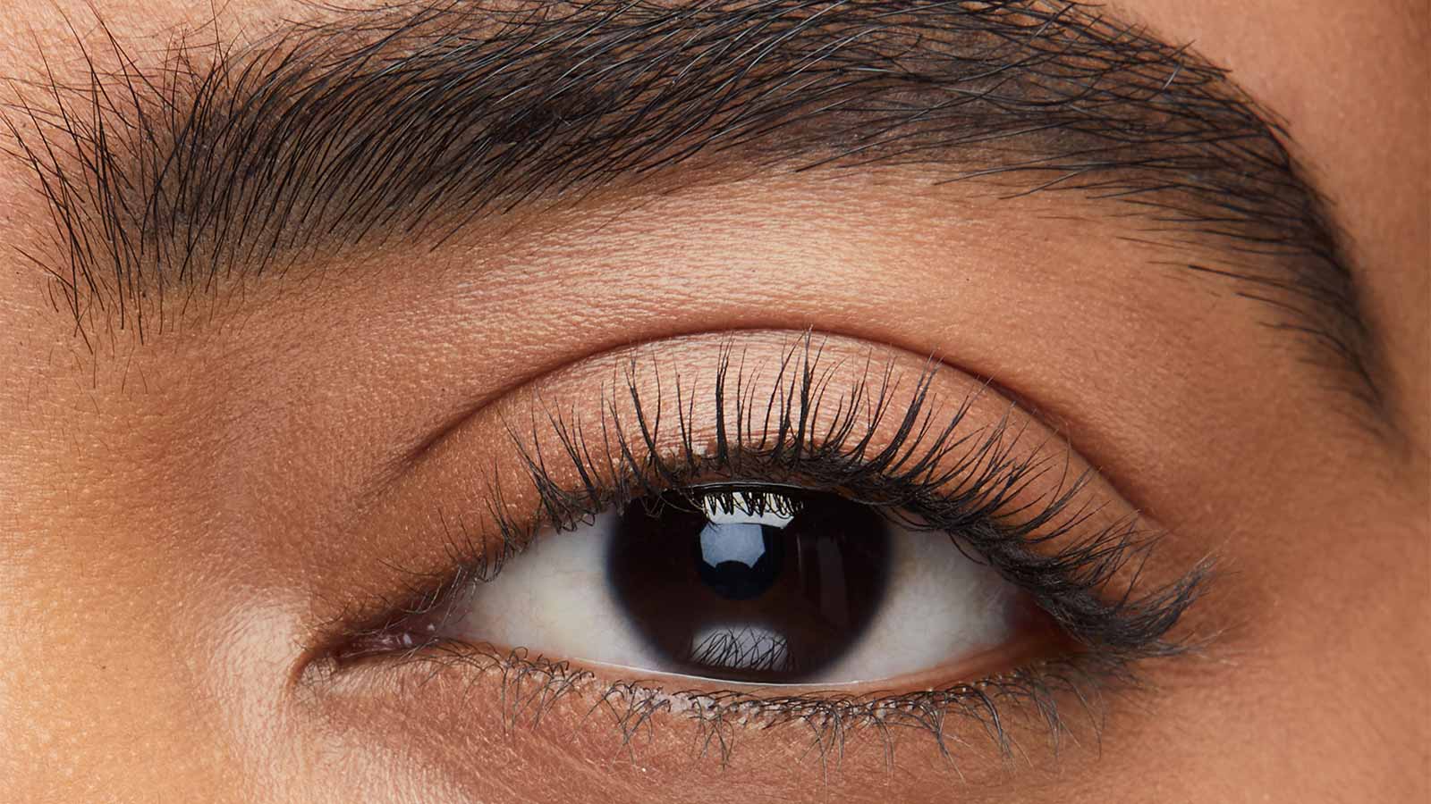 Black brown brow hot sale pencil